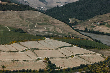 View from Pinhao village in Portugal to Douro valley and river
