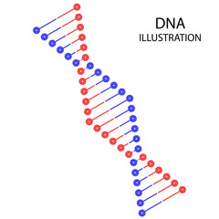 dna vector illustration