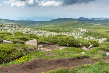 Landscape with green hills of Vitosha Mountain near Cherni Vrah Peak, Sofia City Region, Bulgaria