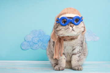 Very funny cat pilot of an airplane with glasses and a pilot's hat, against a background of clouds. A concept of funny and funny animals