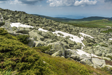 Fototapeta premium Landscape with green hills of Vitosha Mountain near Cherni Vrah Peak, Sofia City Region, Bulgaria