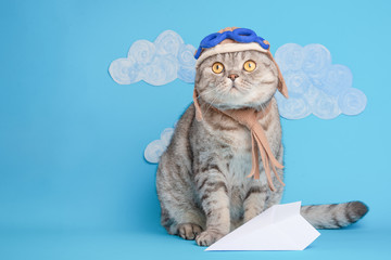 cat aviator pilot, Scottish Whiskas in mask and goggles pilot aircraft. Concept of the pilot, super...