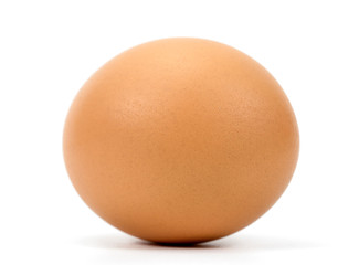 chicken egg on white background