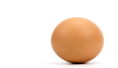 chicken egg on white background