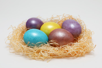 Colorful Easter eggs in a nest on white background, Spring Image. Easter concept.