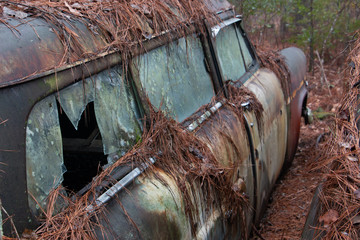 Rusty old car with broken window and covered in pine needles