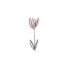 Minimalist contour flower drawing. One line art