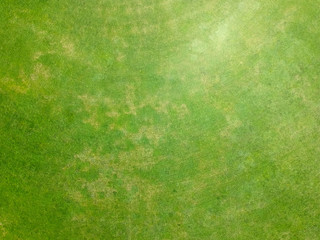 Green grass texture. Aerial green lawn grass. Football or soccer field background. Golf greenery nature pitch flat garden from above.