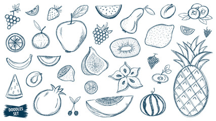 Fruits doodles set. Tropical fruit. Summer. Berry. Scribble collection. Quirky sketches. Grape. Blueberry. Carambola. Watermelon. Pineapple. Strawberry. Figs. Pear. Kiwi. Melon. Citrus. Smoothie.