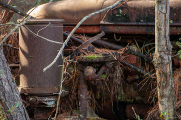 Rusty old cars