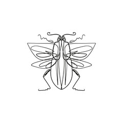 Hand drawn elegant grunge beetle sketch art