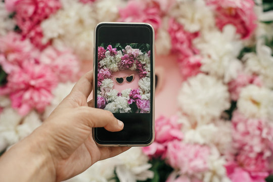 Hand holding phone and taking picture of stylish heart shape pink sunglasses with pink and white peonies on pastel pink paper, flat lay. Stylish hello summer image. Instagram blogging concept