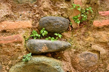 Textura de antiguo muro de piedra y ladrillo