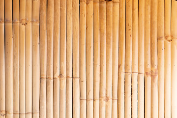 Bamboo background arranged vertically