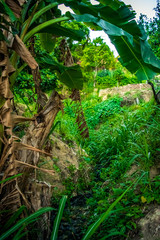 sky, river, water, clouds, landscape, sunset, city, nature, blue, town, lake, night, panorama, architecture, sea, building, cloud, tree, travel, storm, forest, hill, view, reflection, summer, green,