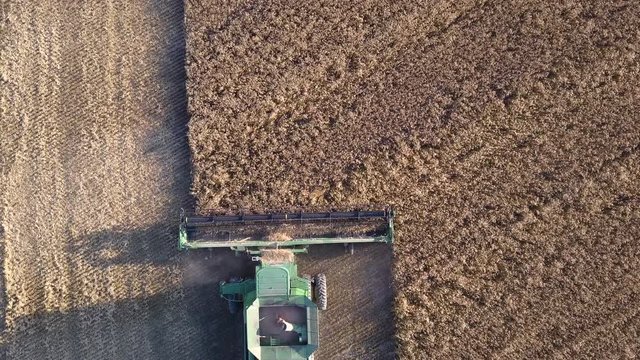 Static aerial top down shot of combine harvester moving through a wheat field in Kansas, USA