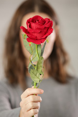Woman holding a red rose in front of her face
