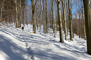 Snowy north Bohemia Landscape, Jizerske Mountains, Czech Republic