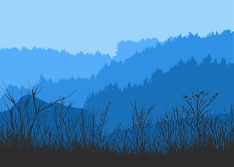 Vector illustration of a coniferous forest panorama