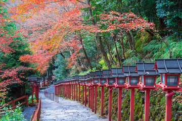 京都　貴船神社の紅葉