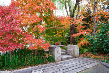 Naklejka premium 京都 晴明神社の一条戻橋と紅葉 