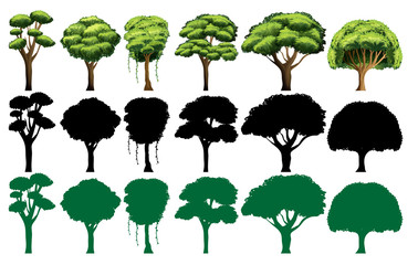 Set of different tree