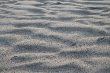 Ripples in the sand