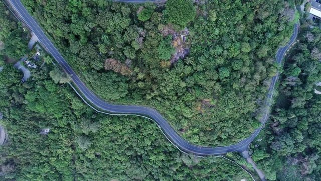 Overhead aerial top view over asphalt road curve in tropical rainforest