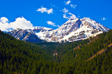 Back of Timpanogos by Skip Weeks