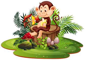 Fototapeta premium Isolated monkey in nature