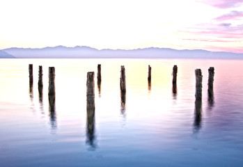 Pilings in the Great Salt Lake by Skip Weeks