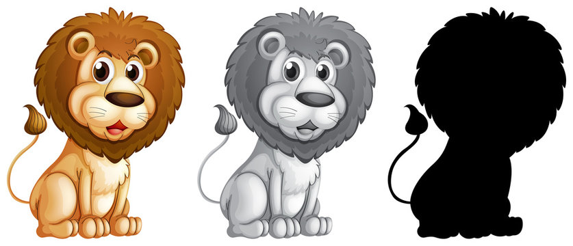 Set of male lion character
