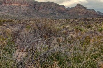 Big Bend National Park is located in Far South Texas on the Mexican Border