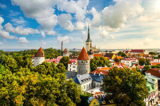 Fototapeta Afternoon view overlooking the medieval walled city of Tallinn Estonia on an early autumn day in the Baltics region of Northern Europe.