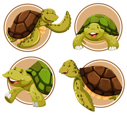Set of turtle banner