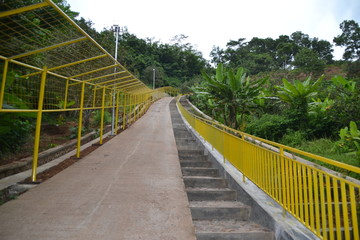 bridge in the park