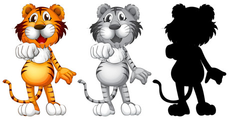 Set of tiger character