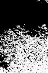 black ink splashes on a white background