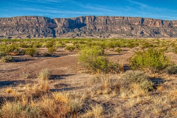 Big Bend National Park is located in Far South Texas on the Mexican Border