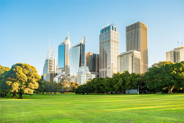 Sydney city high rise buildings with grass parkland in foreground.