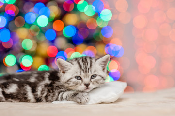 Fototapeta na wymiar Cute tabby kitten lying on pillow with Christmas tree on background