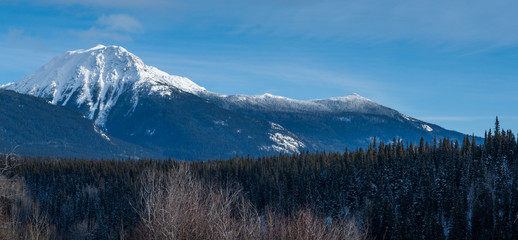 Mountains and Forests in Canada