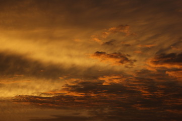 Obraz premium SONY DSC