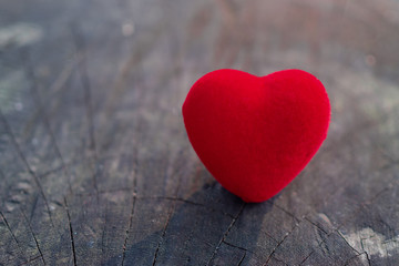Fototapeta premium The red heart is placed on the wooden floor and have copy space for design in your work. The red heart represents the day of love.