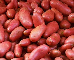 Big bunch of natural potatoes at market