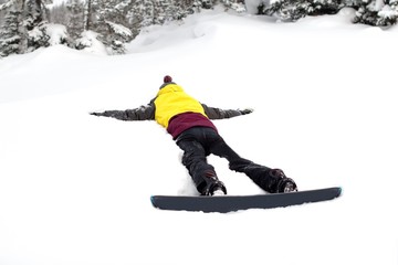 fallen young male snowboarder lying face down in snow between pine trees