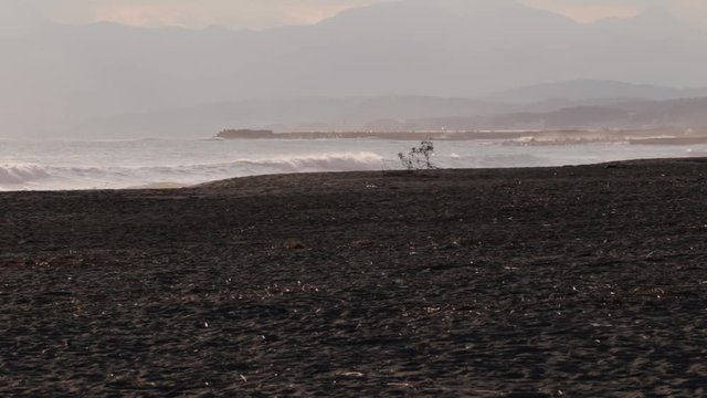 Surfer leaving ocean as sun sets over Chigasaki beach in Kanagawa prefecture, Japan.
