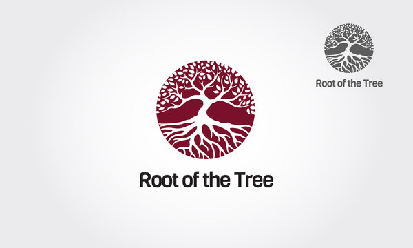 Root of the tree logo templete this concept could be used for recycling, environment associations, landscape business and other.
