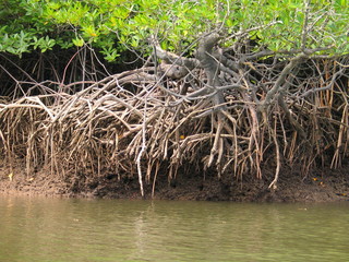 Thailand. West coast of Krabi.  Phang Nga Bay