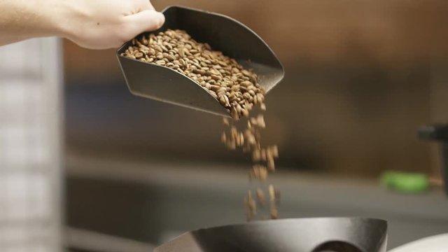 Male hand pouring roasted coffee beans into a container to be weighed